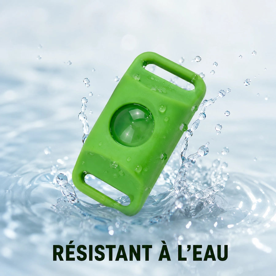 Slimoria - 12 Mois de protection contre les Puces et les Tiques